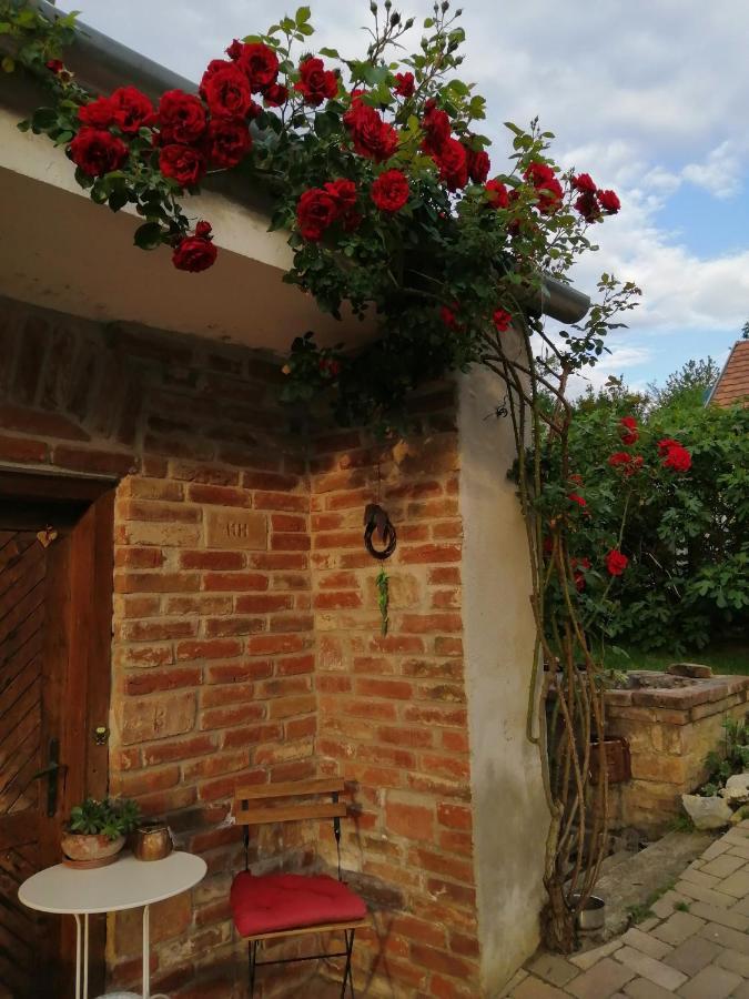 Míves Vendégház Pogány Exterior foto